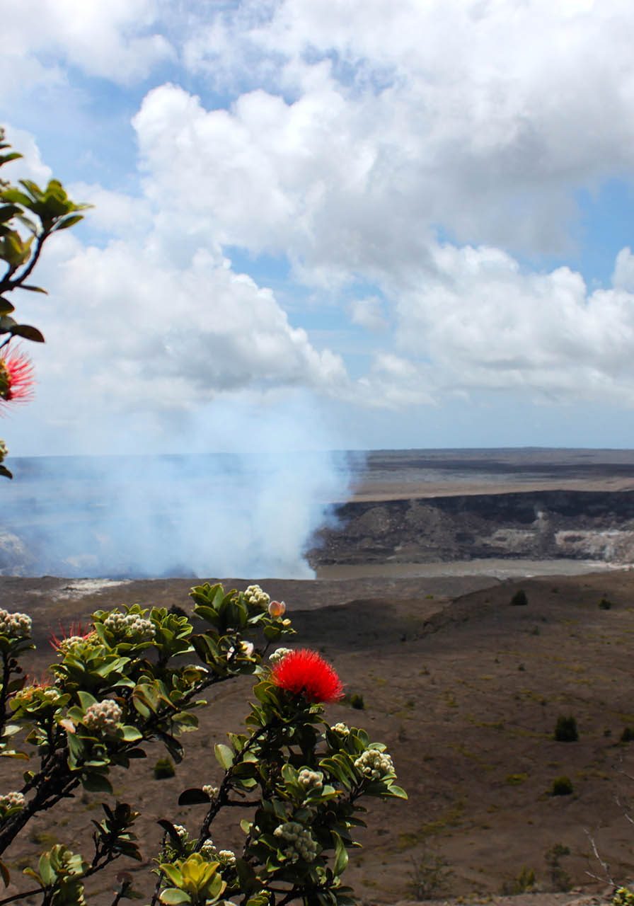 HalemaumauLehua